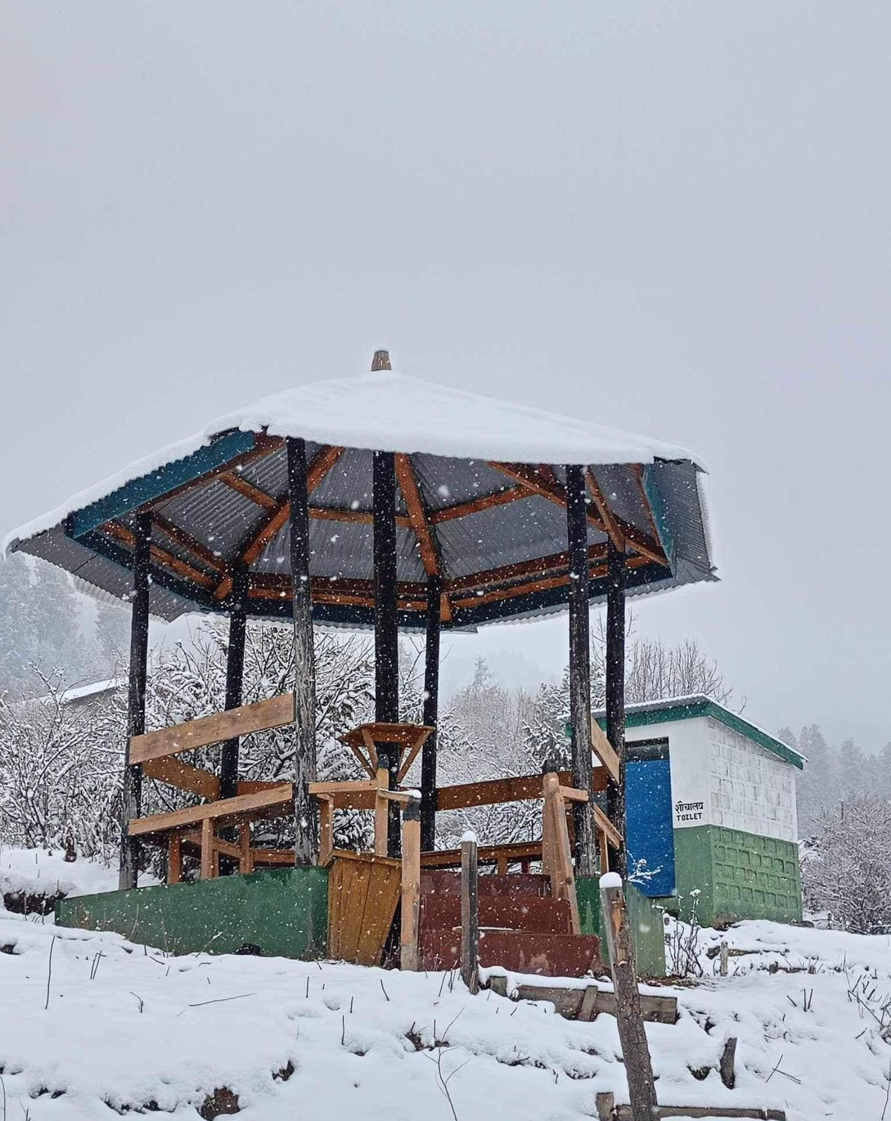 Image gallery