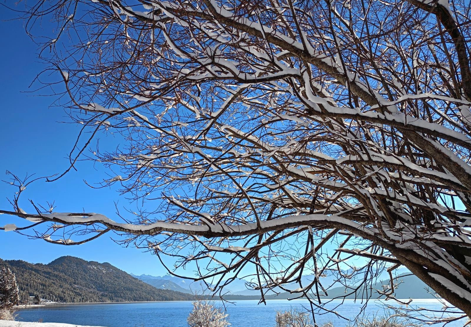 Image gallery