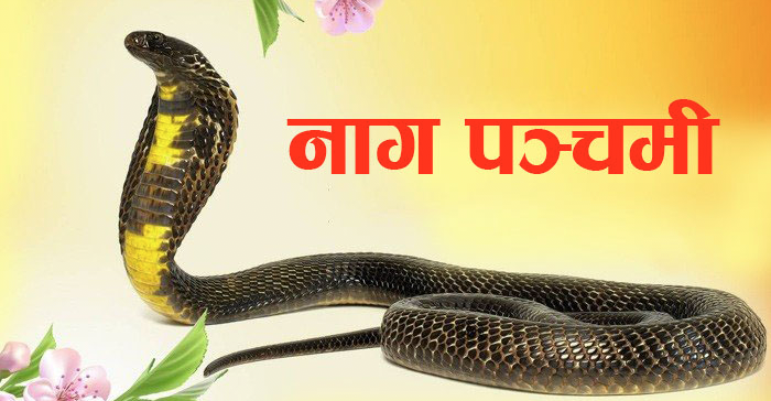आज नागपञ्चमी पर्व मनाइँदै