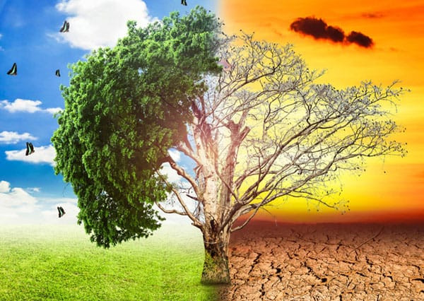बेलासे गाउँलाई जलवायु अनुकूलित बनाइँदै