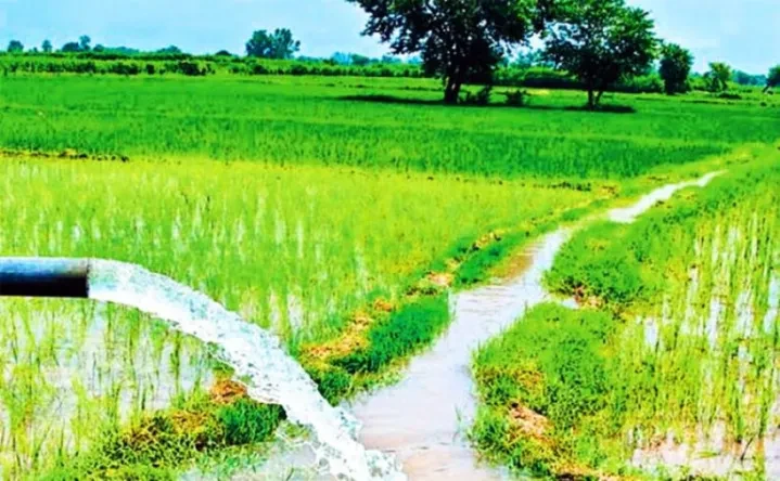 मध्य वर्खामै सिँचाइ गर्न आलोपालो
