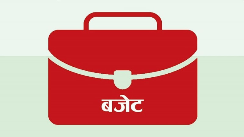 १० स्थानीय तहले ल्याए बजेट, बाँकीको भोलि
