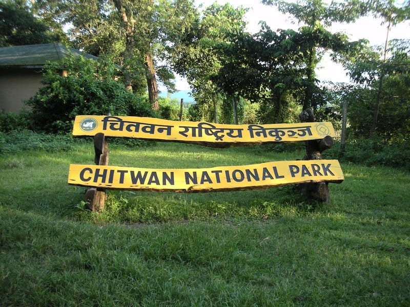 पर्यटक घुमाउन गएका नेचर गाइडको गैंडाको आक्रमणबाट मृत्यु
