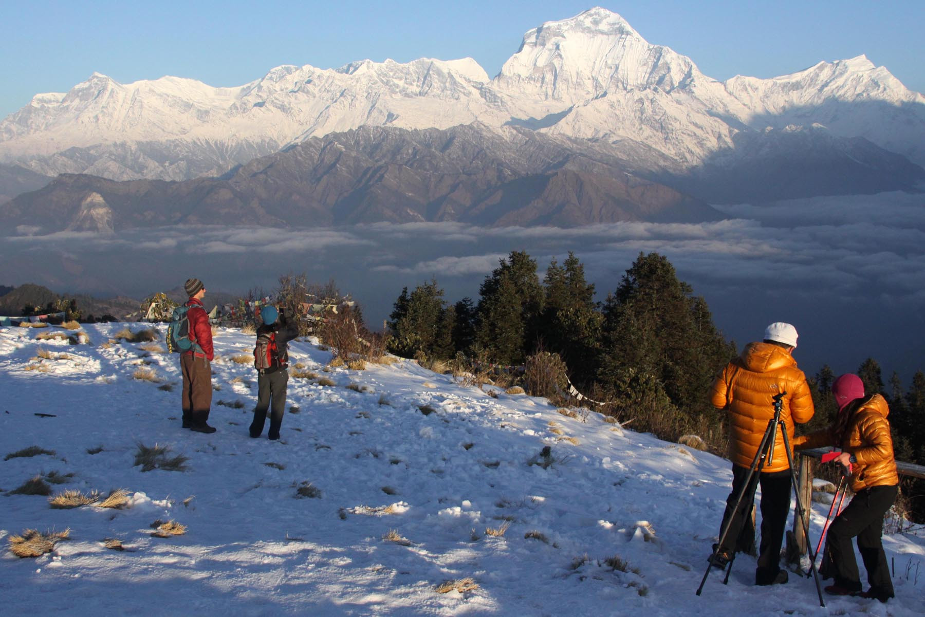 लाङटाङ पदयात्रा सम्पन्न गरी फर्कंदै गरेका पथ प्रदर्शकको निधन