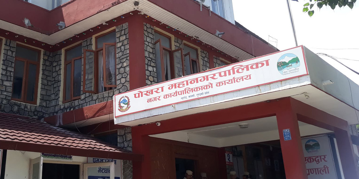 पोखरामा पाडीबाछी हुर्काउन किसानलाई अनुदान