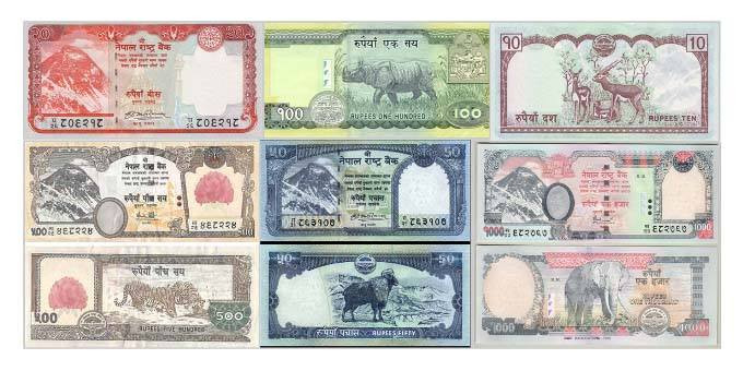 फेरी बढ्यो अमेरिकी डलरको मूल्य, बिहीबार बाँकि विदेशी मुद्राको कति छ विनिमयदर ?