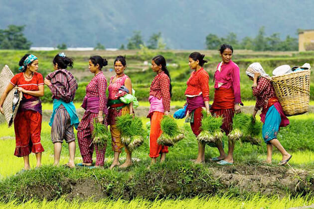 अर्थतन्त्र सुधारोन्मुख  ; घट्यो औसत उपभोक्ता मुद्रास्फीति
