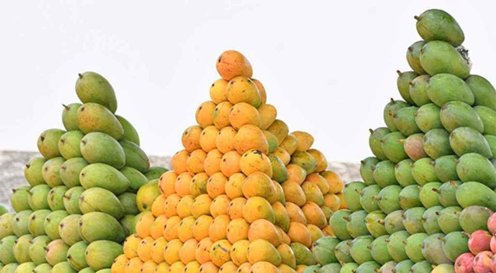 आँप खानुका फाईदाहरु के-के छन त ?