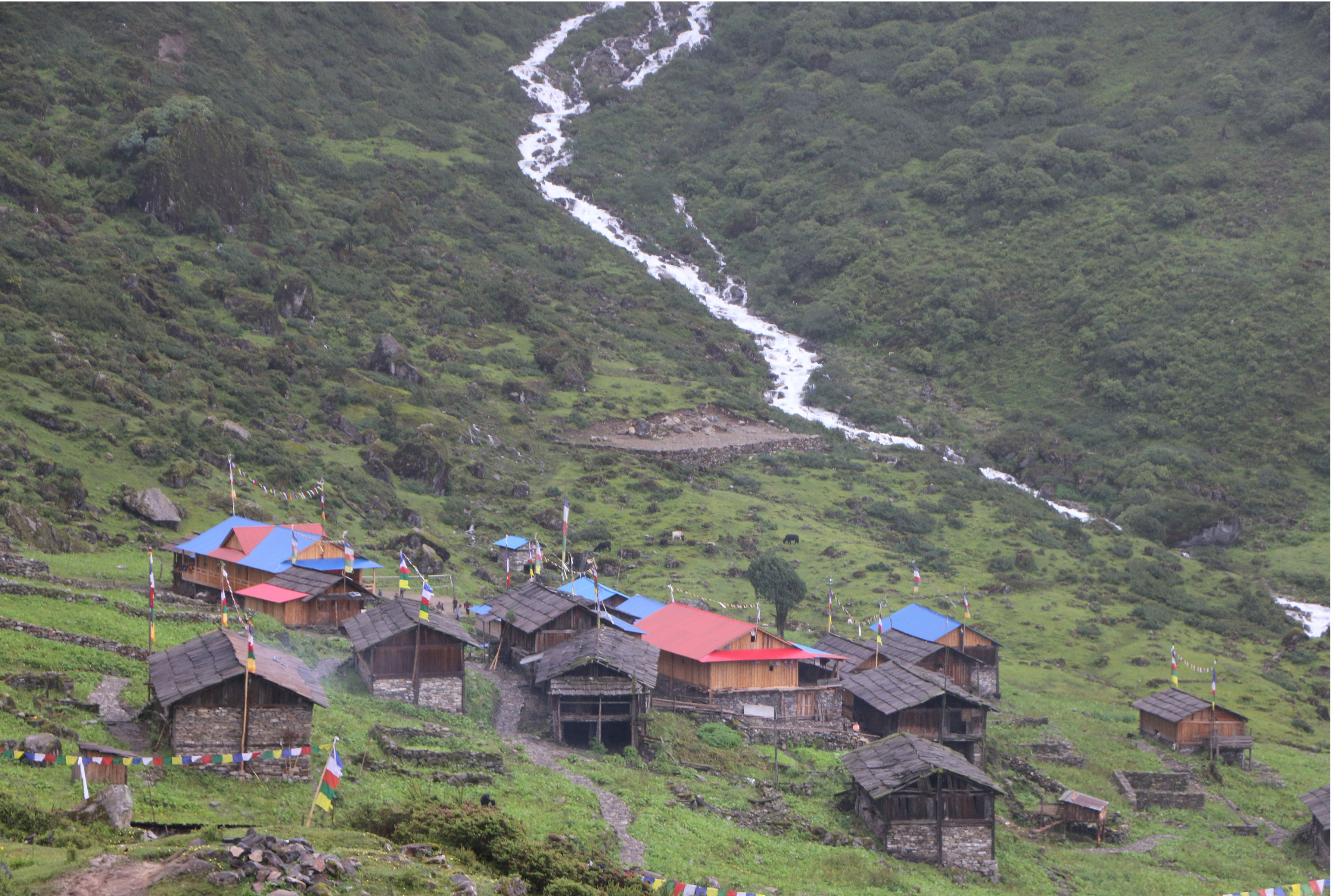 तोक्पेगोला बस्ती