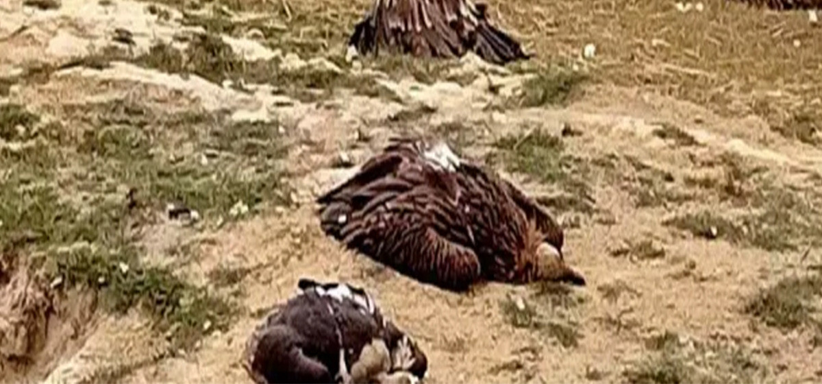 कालीगण्डकी नदी किनारमा पैदलमार्ग