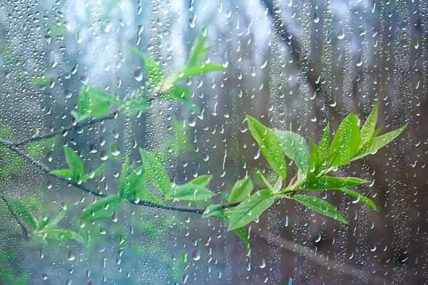 मुलुकका उच्च पहाडी तथा हिमाली क्षेत्रमा हिमपातको सम्भावना