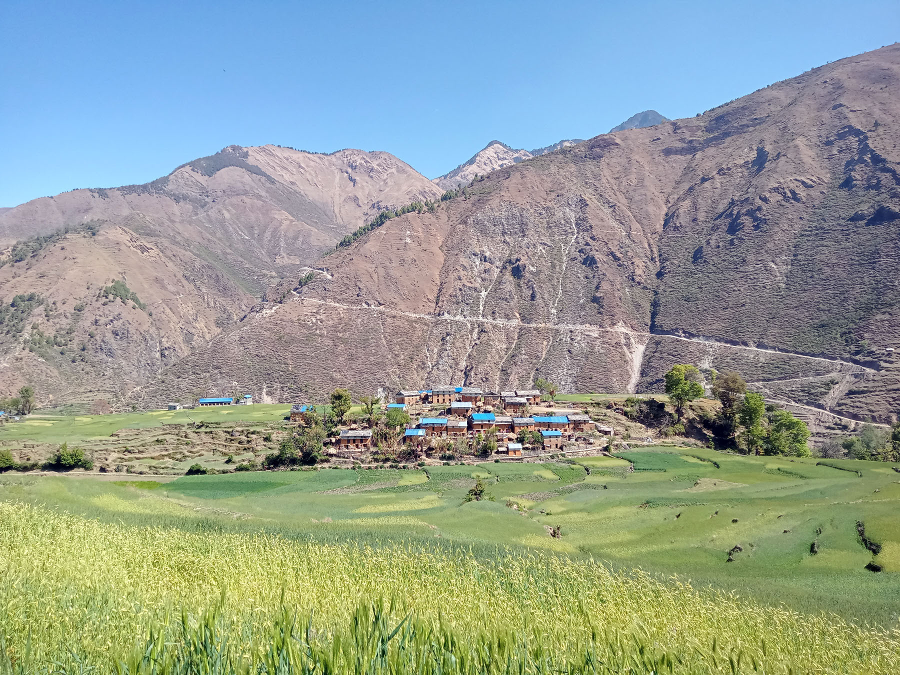 जिउलोको बीचमा गाउँ