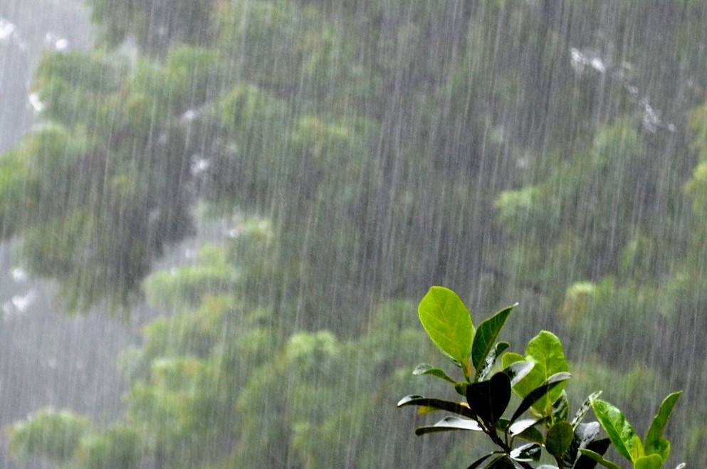 सातवटै प्रदेशका पहाडी भू–भागमा हल्का वर्षाको सम्भावना