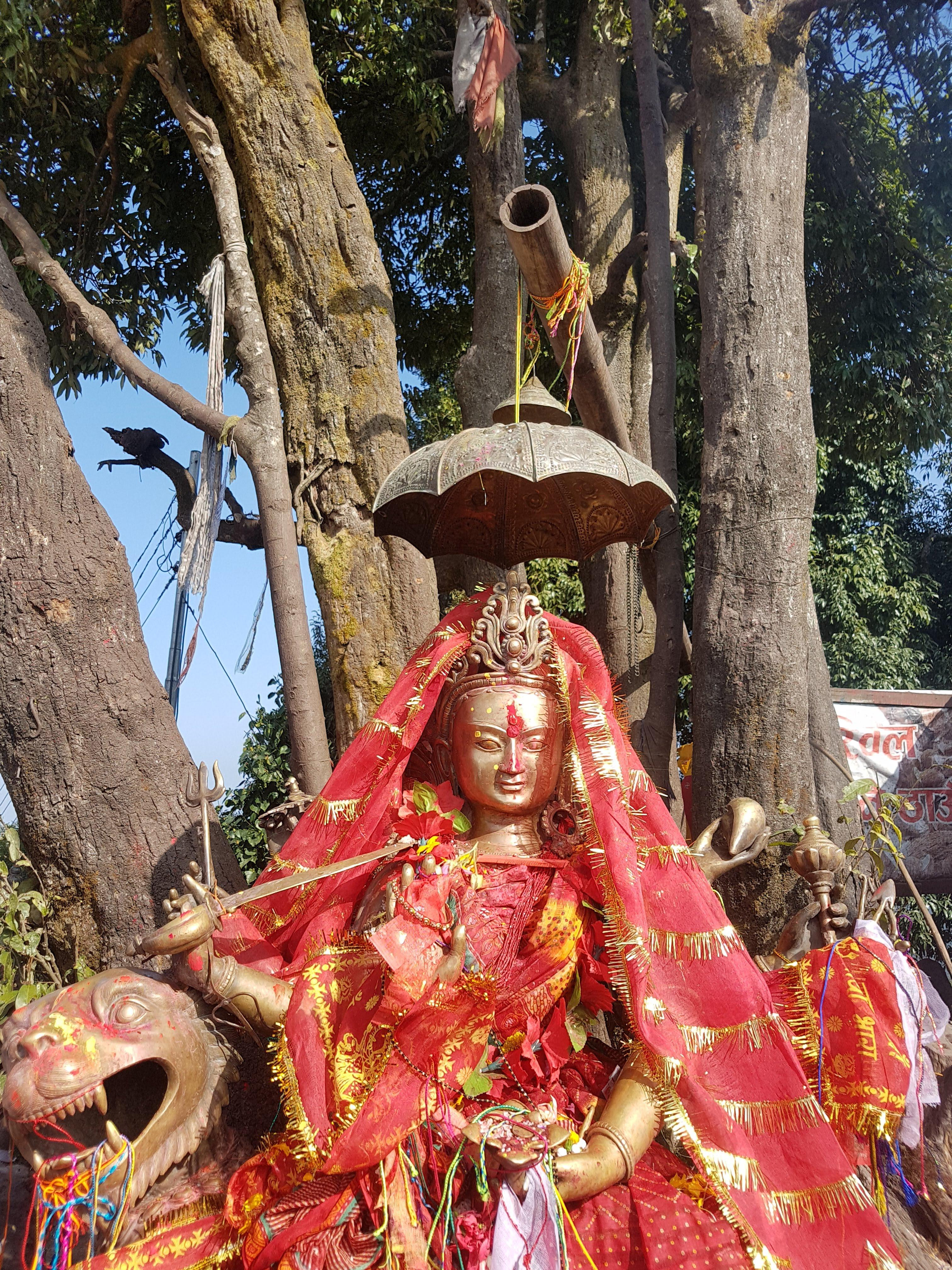 कस्तो छ १२ जेठ २०८०, शुक्रवारको राशीफल ?