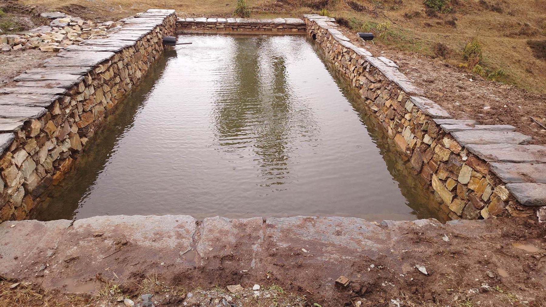 वन्यजन्तुका लागि पोखरी