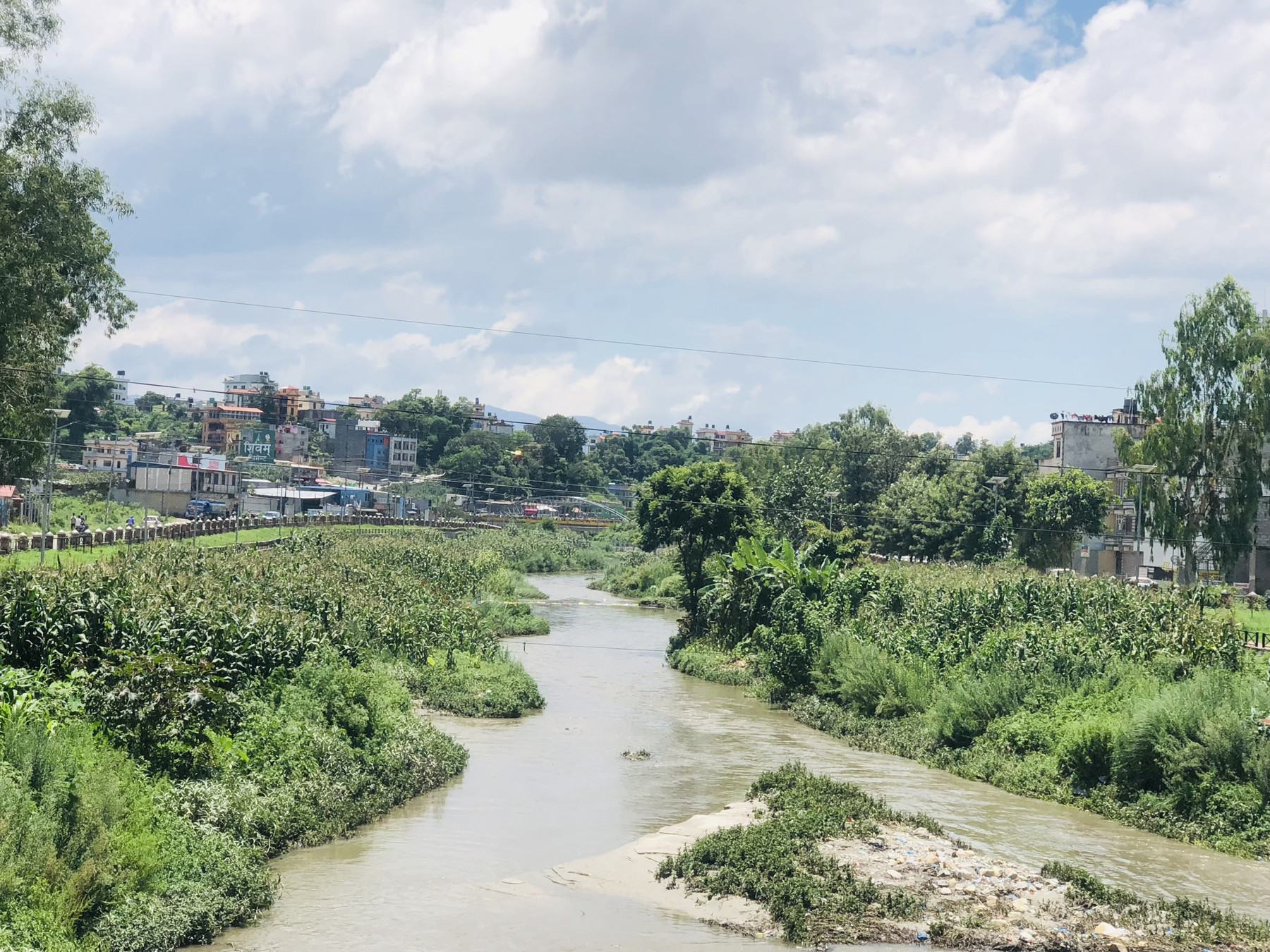 खोला किनारमा मकै खेती
