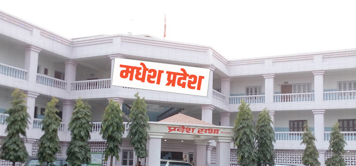 मधेश प्रदेशअन्तर्गत स्थानीय तहका कर्मचारीहरू पदस्थापनाको माग गर्दै आन्दोलनमा