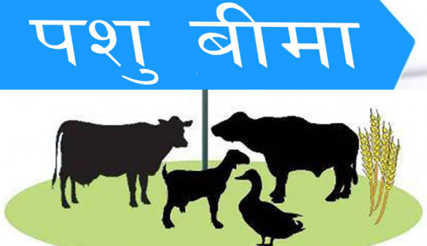 ‘पशु बिरामी भएमा तत्काल खबर गर्नुहोस्’