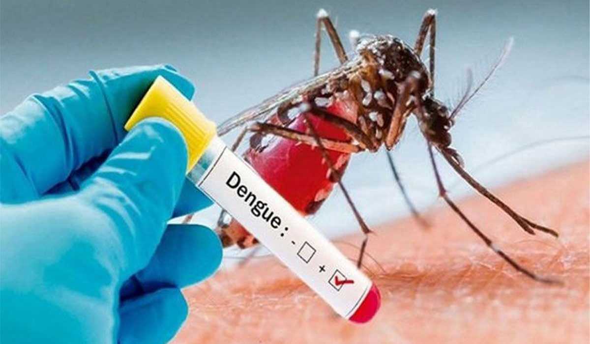 डेंगो संक्रमितको संख्या ४६ हजार नाघ्यो, काठमाडौंका २५ सयमा संक्रमण