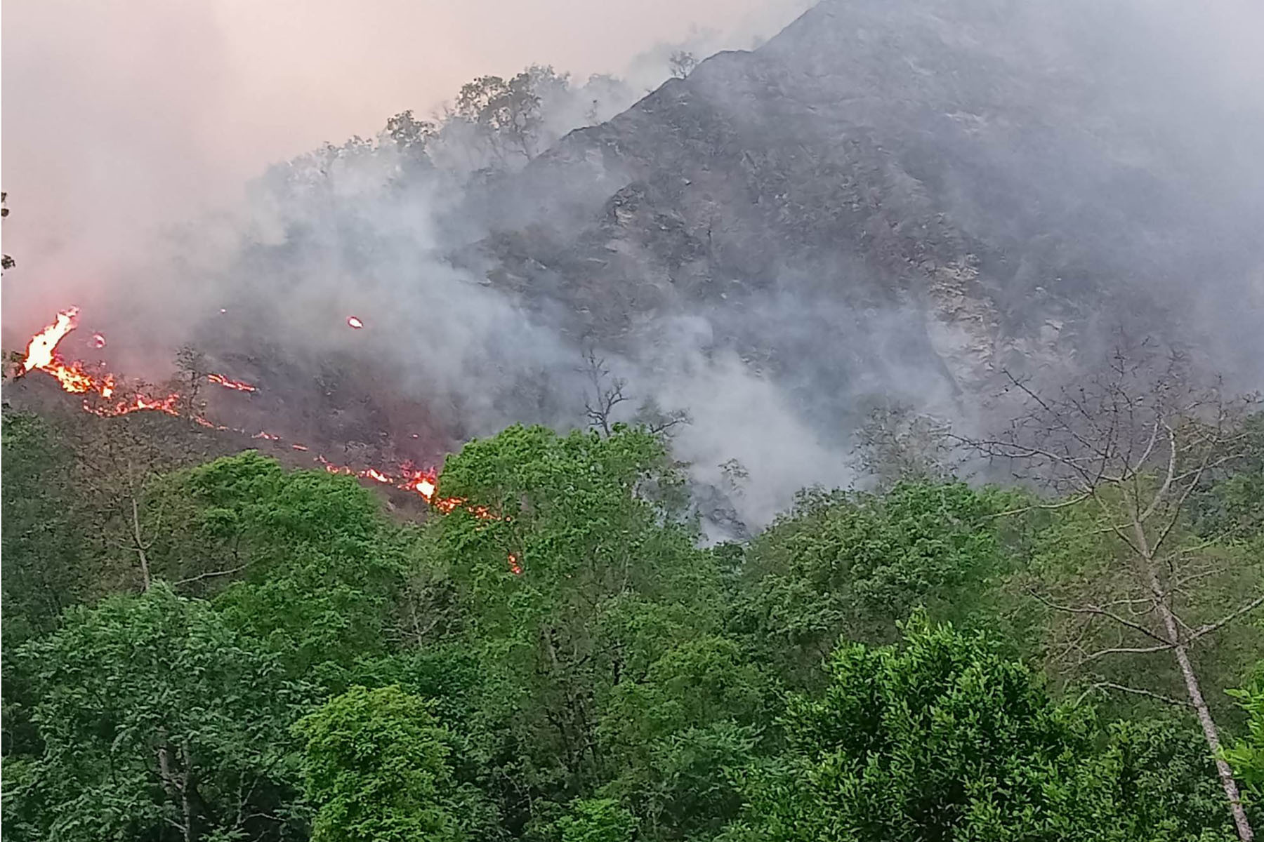 म्याग्दीको भकिम्लीको जंगलमा लागेको डढेलो
