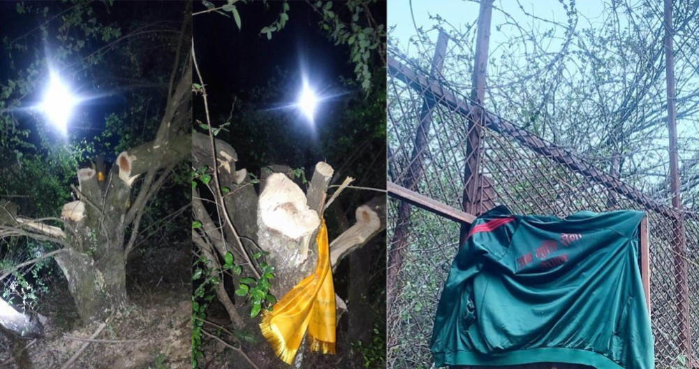 बोधिचित्तको रुख काटेको आरोपमा चारजना पक्राउ