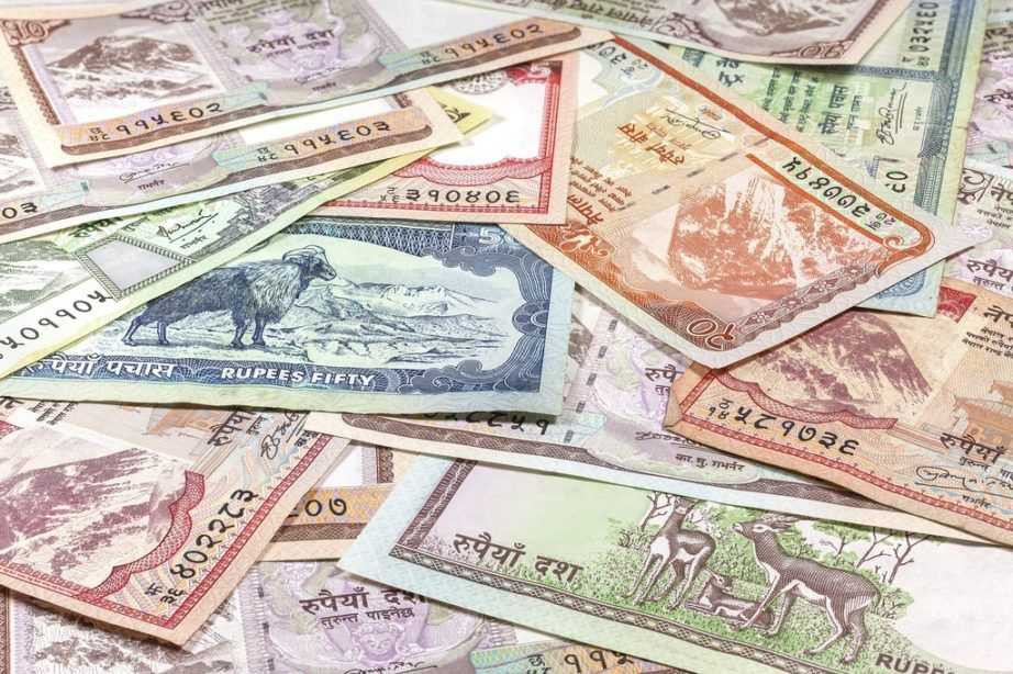 आठ महिनामा लाभांशवापत साढे १३ अर्ब नाफा विदेशियो