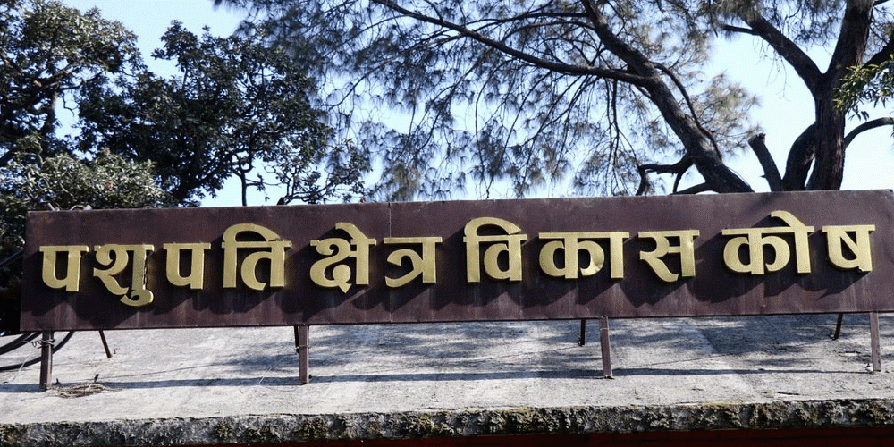 मापदण्ड नपुगेको दाबीबीच भुसाललाई नियुक्ति, कानुनी र प्रक्रियागत प्रश्न उब्जियो