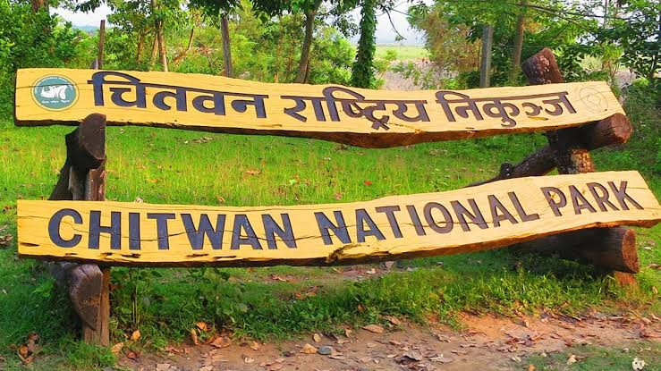 चितवनमा एक वर्षमा ६९ वन्यजन्तुको उद्धार, सबैभन्दा धेरै अजिङ्गर