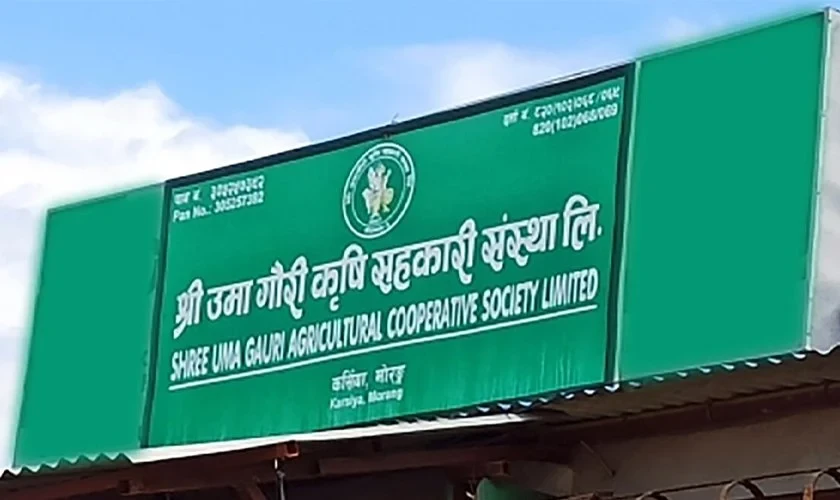राजवंशी उमागौरी कृषि सहकारी : पीडित थुनामा, कसुरदार फरार