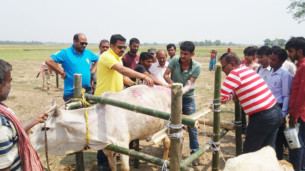 पशुवस्तुको उपचार तथा बाँझोपन निवारणका लागि उपचार शिविर