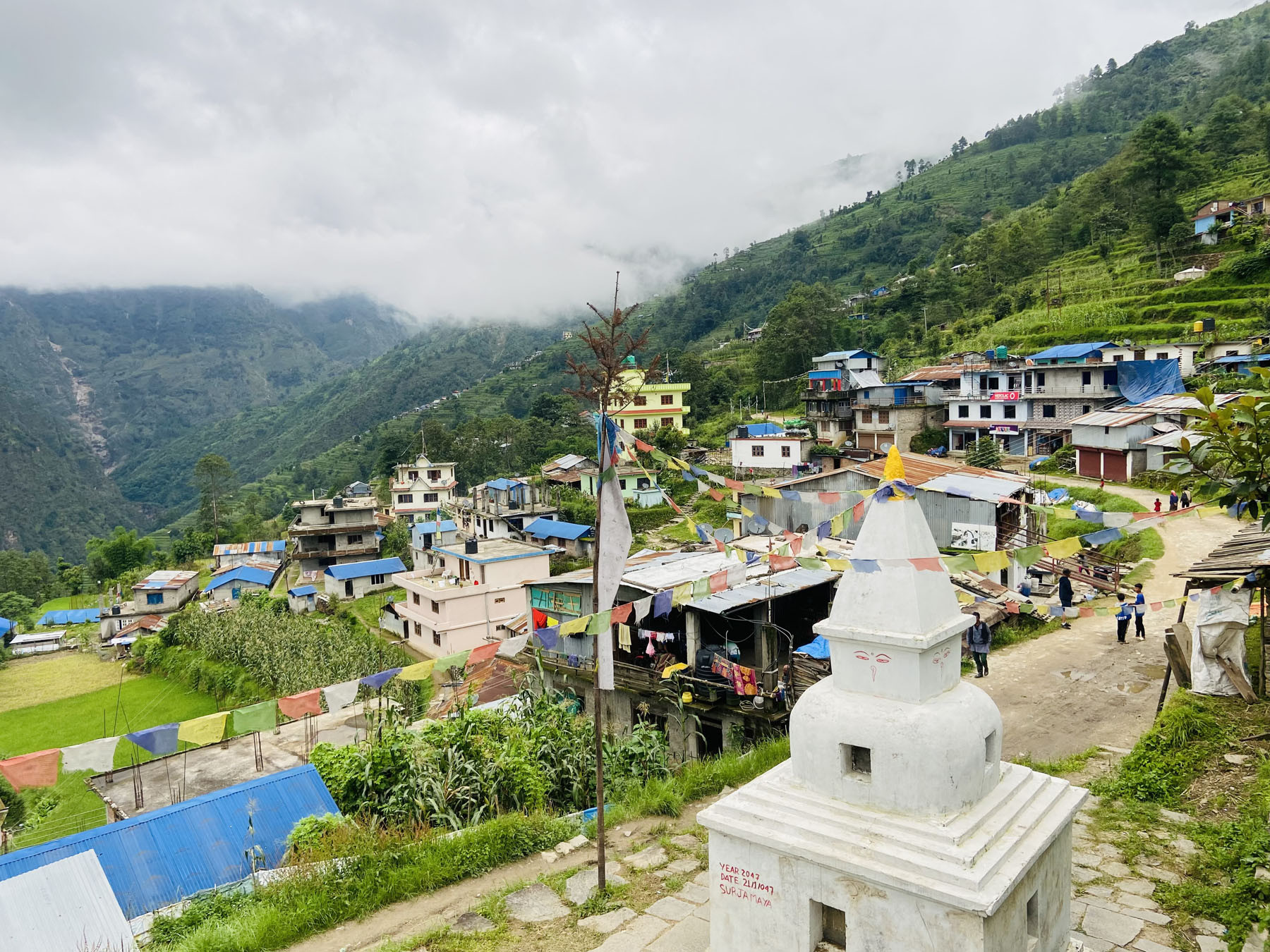 भोताङको यार्सा