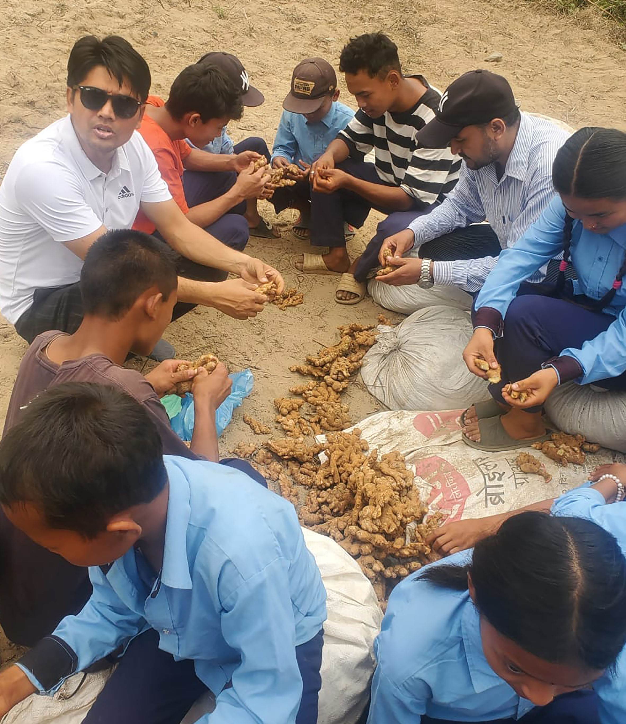 पढ्दै कमाउँदै कार्यक्रमः अदुवा खेतीमा विद्यार्थी